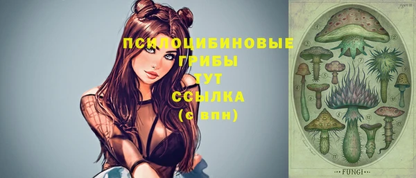 каннабис Баксан