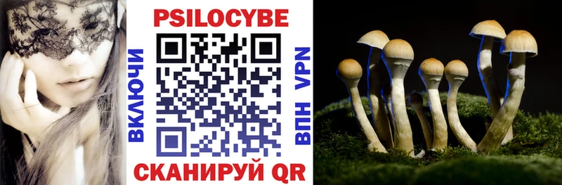 блэк спрут как войти  цена наркотик  Ясногорск  Псилоцибиновые грибы Cubensis 